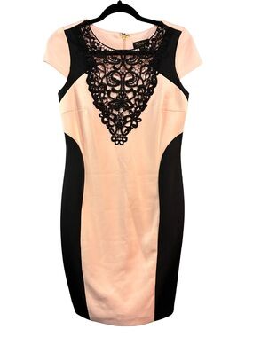 Thalia Sodi Blush and Black Lace-Front Sheath Dress